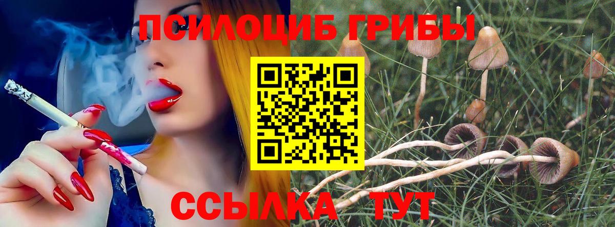 Псилоцибиновые грибы GOLDEN TEACHER Орск