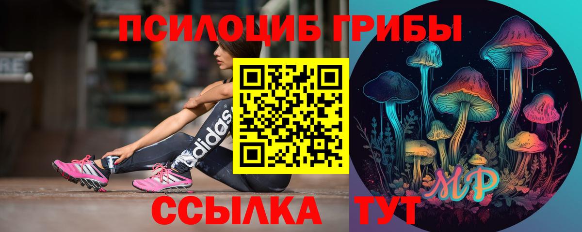 Псилоцибиновые грибы MAGIC MUSHROOMS  Вход с VPN  Орск 